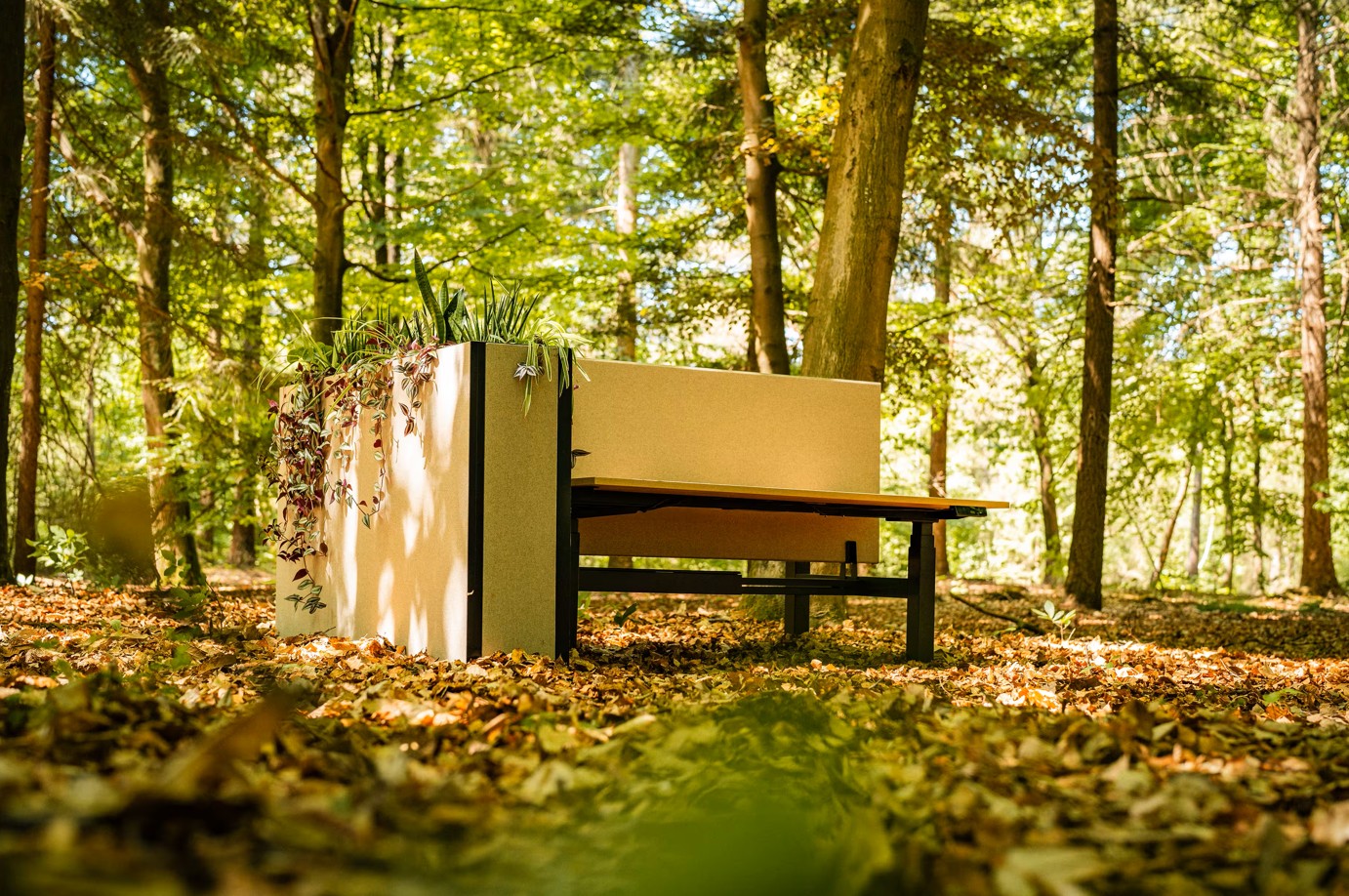 Schermafbeelding 2025-09-23 131803